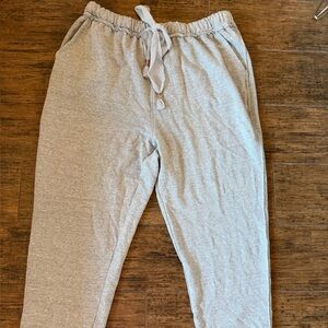 Free People Movement 
Joggers Technolinen Sweatpants
Gray Size Large